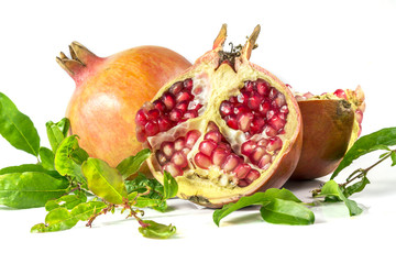 pomegranate