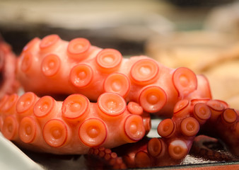 octopus arm border macro prepared for cooking japan food