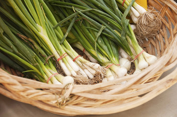 Scallions