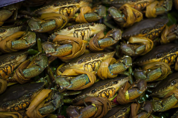 Fresh crabs