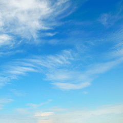 Naklejka na ściany i meble puszyste chmury w błękitne niebo