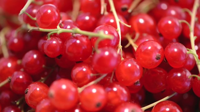 Rotating red Currants