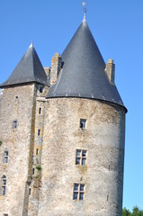 Fototapeta na wymiar chateau de la Groulais