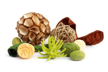 Boules et écorces séchés