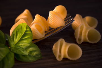 Pipe rigate, italian raw pasta
