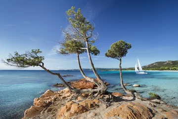 Deurstickers Palombaggia strand, Corsica Strand van palombaggia Corse Frankrijk