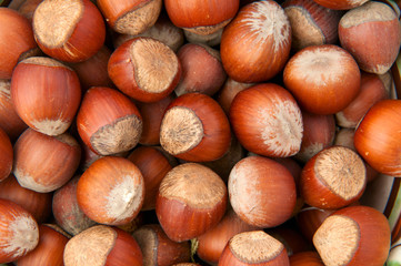 Hazelnuts background