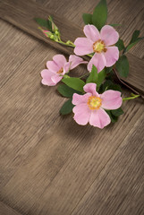 Fototapeta na wymiar dogrose flowers on a wooden board