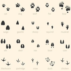 Vector set of 20 animal footprints icon