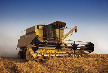 Fototapeta premium Combine harvester