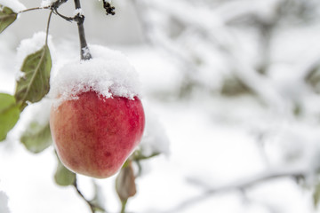 First snow