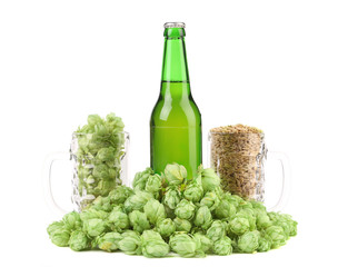 Beer botlle and green hop.