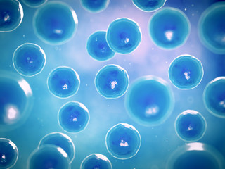 3d rendered illustration of human cells