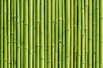 grüner Bambuszaunhintergrund