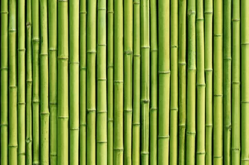 Papier Peint photo Salle de bain fond de clôture en bambou vert
