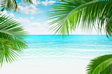 Fototapeta na wymiar View of nice tropical beach with some palms around