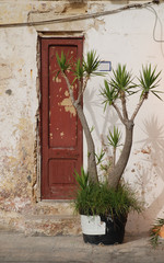 Fototapeta na wymiar Drzwi z Zakładu w Gallipoli