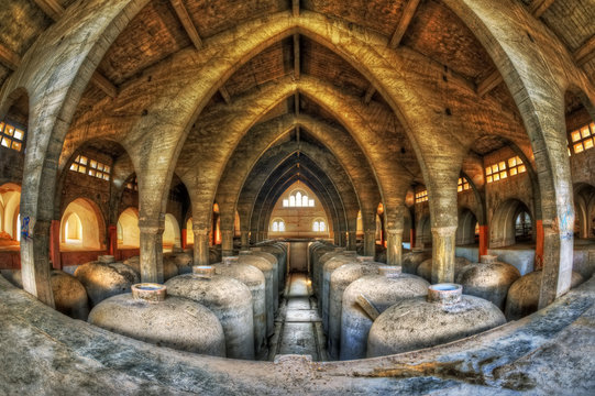Concrete fermentation tanks in an abandoned cellar