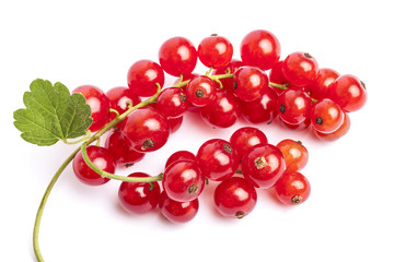 friche rote Johannisbeeren Obst