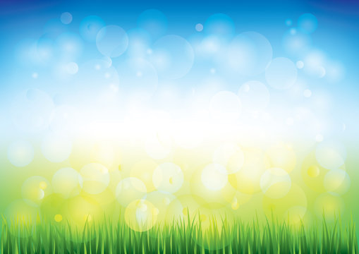 Blue sky and grass vector background