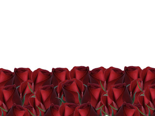 Red Rose Background