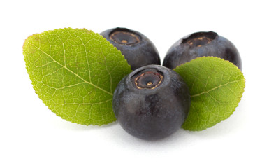 Fresh blueberries isolated on white background