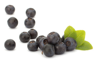 Fresh blueberries isolated on white background