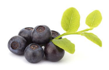 Fresh blueberries isolated on white background