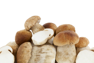 Steinpilze