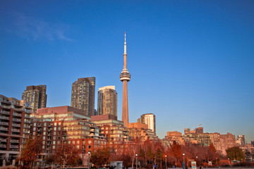 Fototapeta premium Buildings in Toronto city downtown
