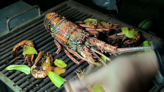 Grilling big Spiny Lobster on the coals
