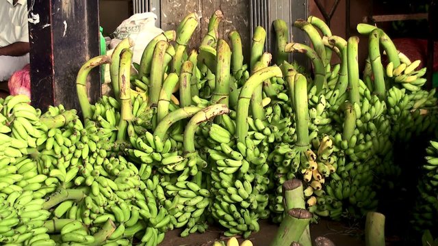 Green unripe banana bunches in the Wholesale Farmers market.