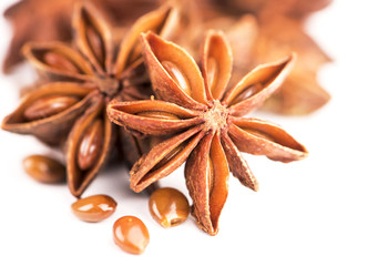 Whole Star Anise isolated on white background with shadow