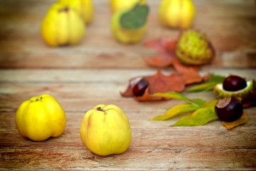 Quinces on the table
