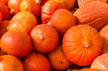 Orange squash on display at the market