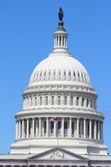 Fototapeta na wymiar Washington, DC - the US Capitol (Congress building)