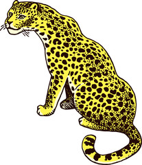 Leopard