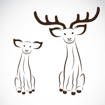 Vector image of an deer