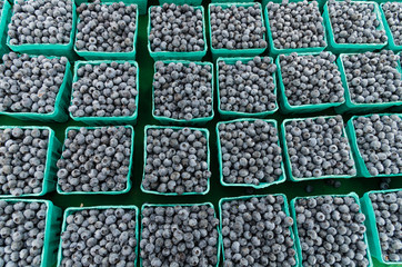 Blueberries in boxes at the market