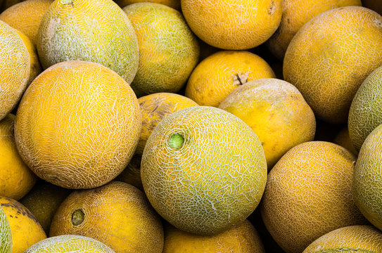 Cantalope melons on display at market