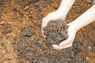 Soil- handful,female hands, humus soil