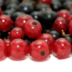 currant on white