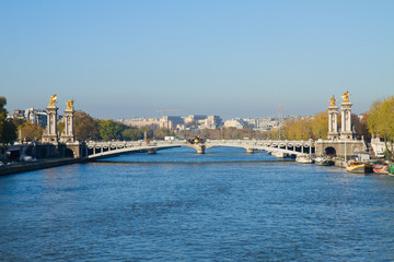Naklejka premium Bridge of Alexandre III, Paris
