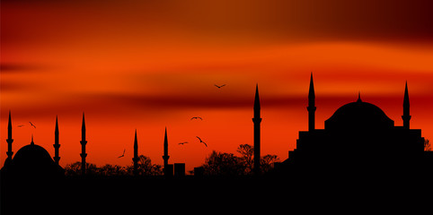 istanbul - 56902925
