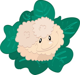 Obraz premium Cauloflower