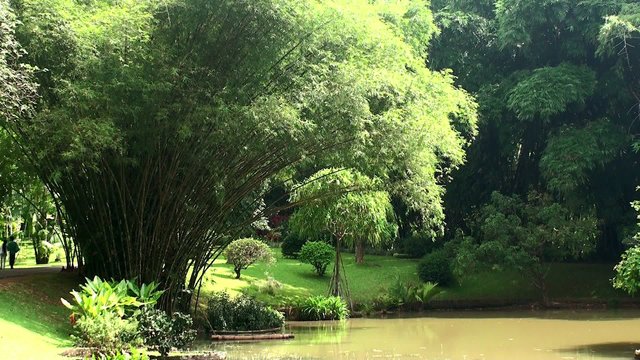 Royal Botanical Gardens. Peradeniya, Kandy, Sri Lanka.