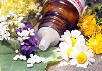 Globuli mit Heilkräutern