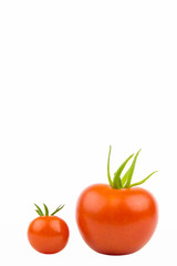 Grosse kleine Tomate 2