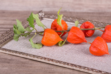 physalis