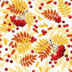 Seamless pattern with rowan leaves and rowanberries. - obrazy, fototapety, plakaty